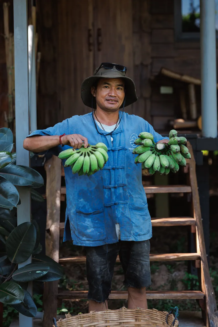 Buffalo & garden care
