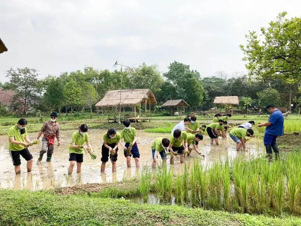Students learning together at Hang Tueng Farm