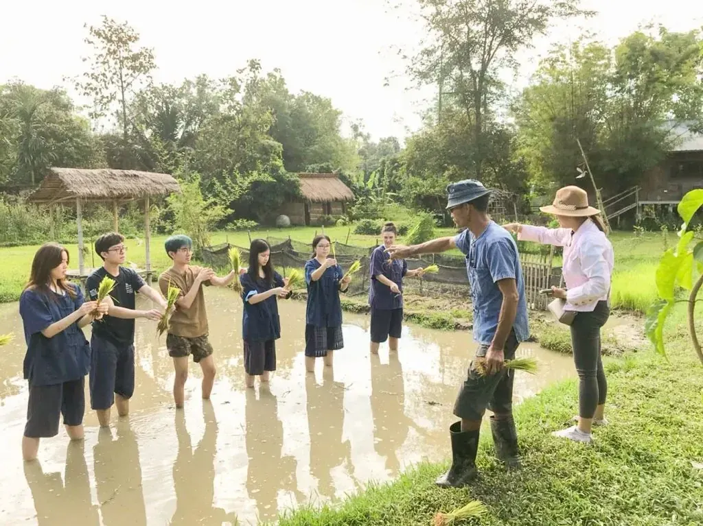 A group activity at Hang Tueng Farm