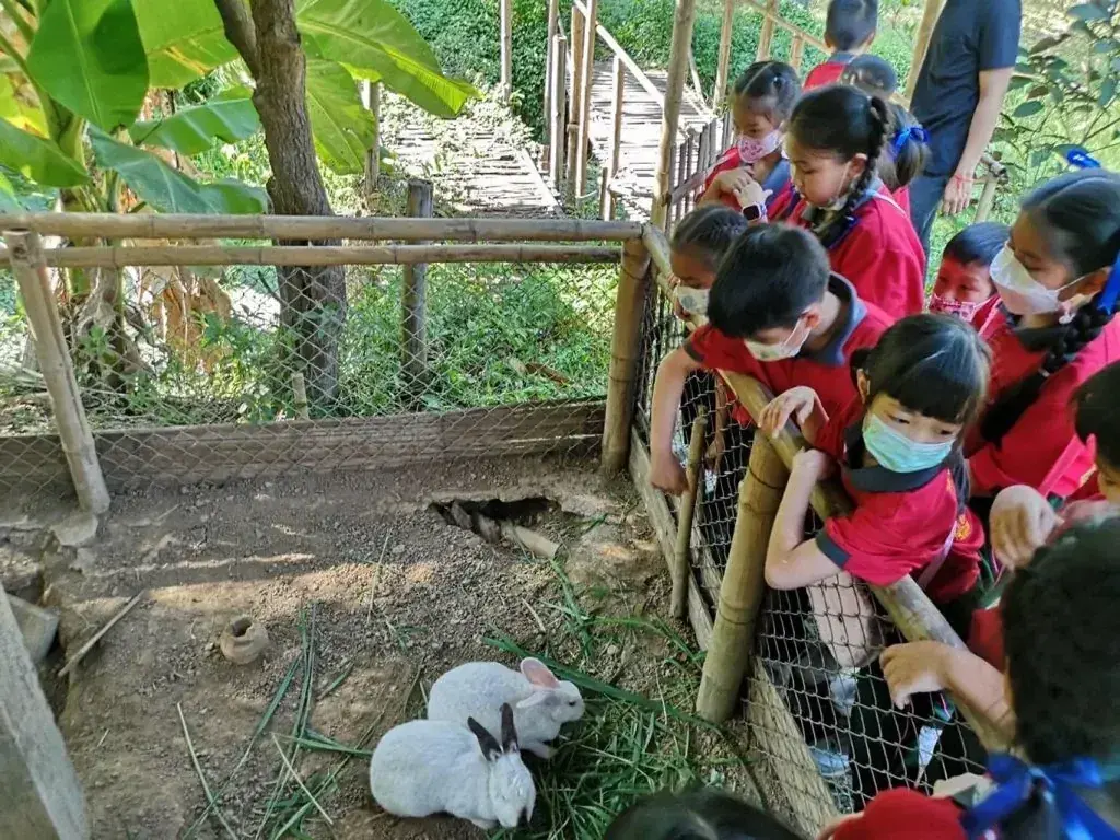 Rice Family at Hang Tueng Farm