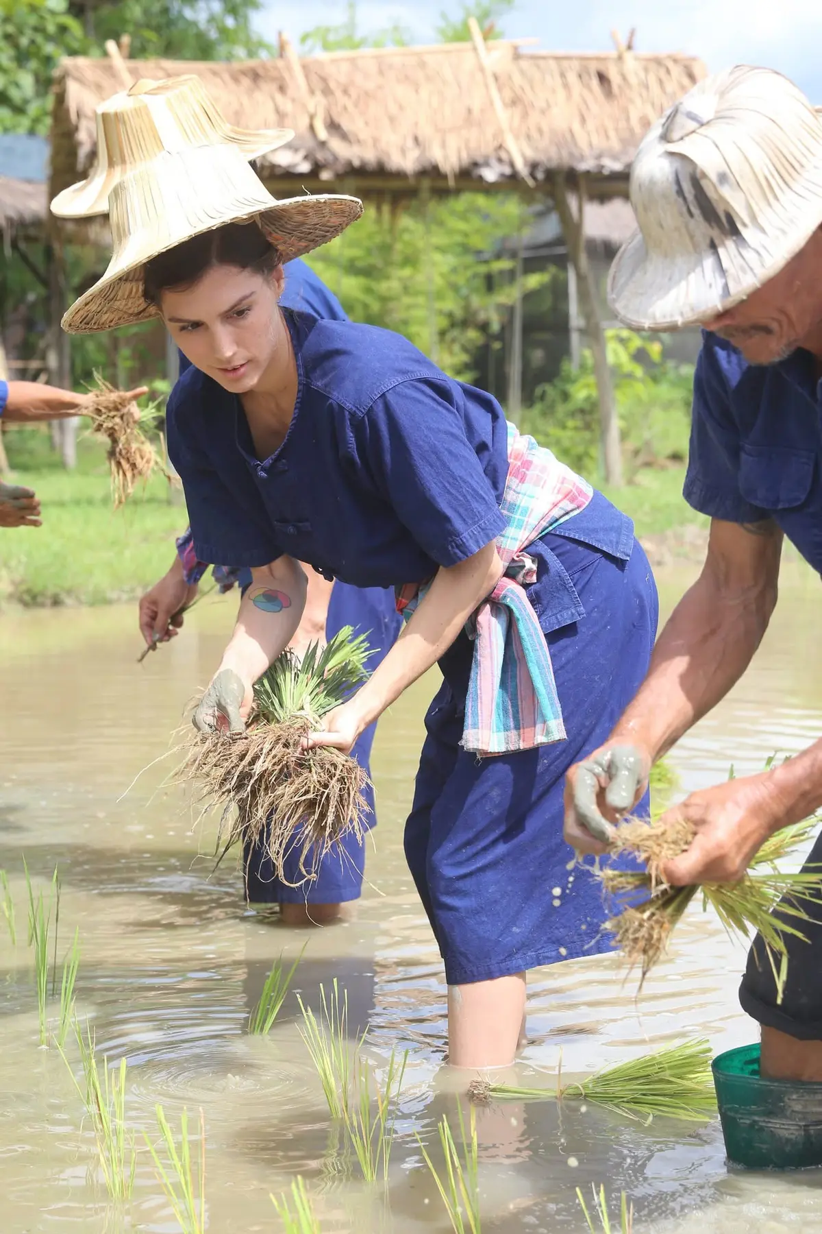 Rice planting