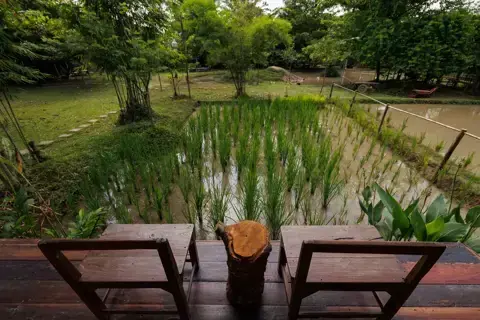 E-Tan Cottage photo 17