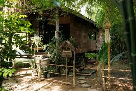 Hani Bahei photo 15